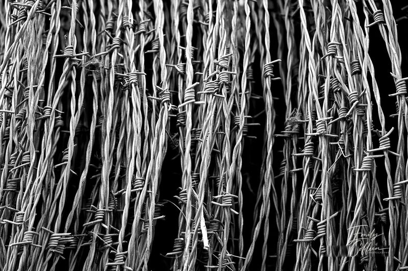 Close-up pattern of tangled barbed wire — western photography by Emily Coffeen